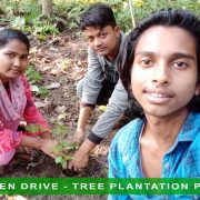 Donate a Tree & Help us for Treee Plantation Program